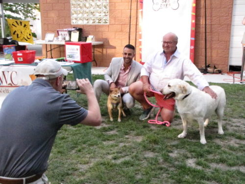 shehady-menna-dogs-062518-500x375-6278456