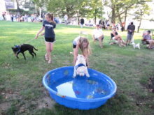 dog-days-080618-3-220x165-5191134