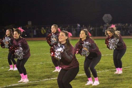 rbr-cheerleaders-031716-500x333-3569014