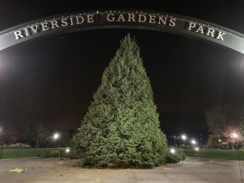 rb-christmas-tree-111918-500x375-8823264