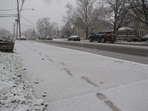 rb-snow-111518-1-500x375-6543978