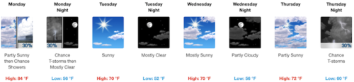 forecast-052019-500x116-1139642