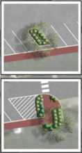 red-bank-white-street-landscaping-021420-118x220-6349854