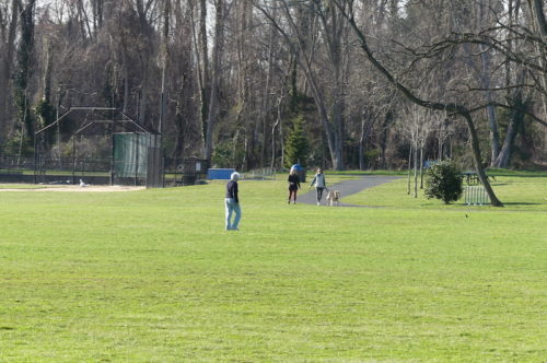 fair-haven-fields-032620-500x332-1184321