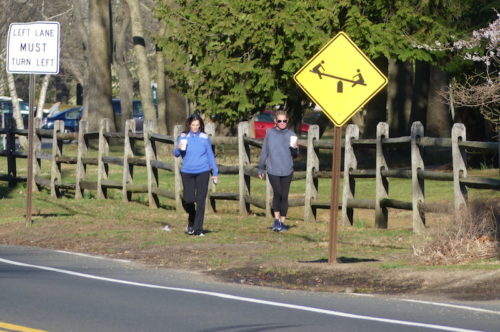 fair-haven-walkers-032620-500x332-8448669