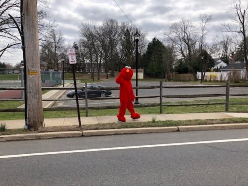 little-silver-elmo-032220-500x375-9808292