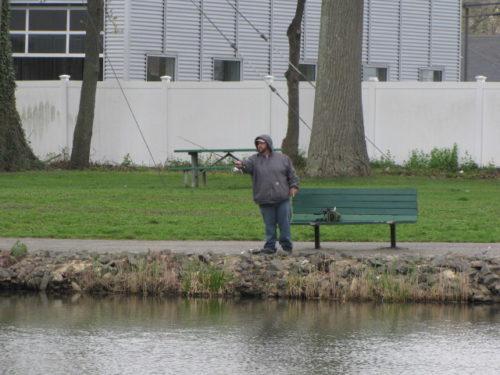 mohawk-pond-trout-042117-2-500x375-5973259