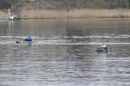 fair-haven-navesink-fishing-042320-2-500x332-4585655