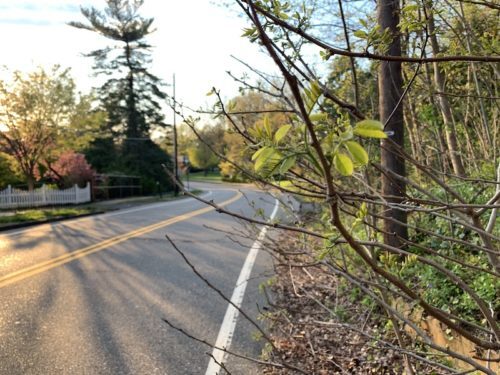 red-bank-harding-road-042120-2-500x375-7013076