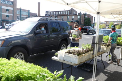 red-bank-farmers-market-051720-3-500x332-7648068