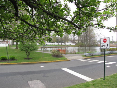 mohawk-pond-042117-500x375-7785276