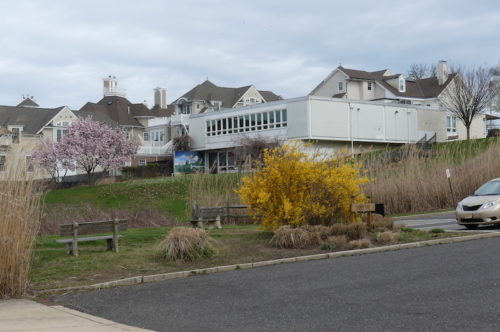 red-bank-public-library-040220-500x332-2169431