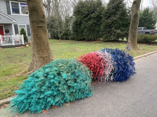 christmas-trees-011521-500x375-9309098