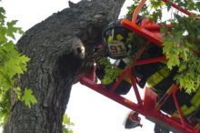 red-bank-fire-animal-050421-220x146-9112085