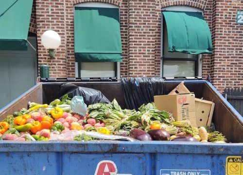 red-bank-galleria-dumpster-071821-500x362-3427458