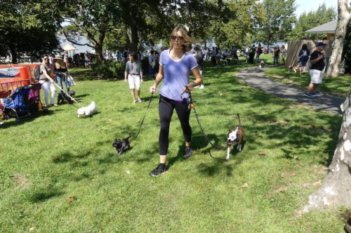 red-bank-dog-days-091121-14-500x332-8318646