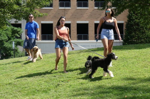 red-bank-dog-days-091121-7-500x332-4527456