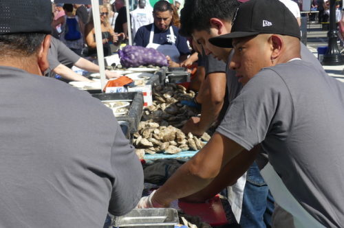 red-bank-oysterfest-092621-35-500x332-6516472