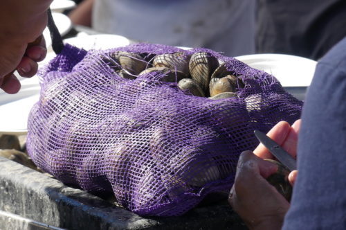 red-bank-oysterfest-092621-38-500x332-6964810