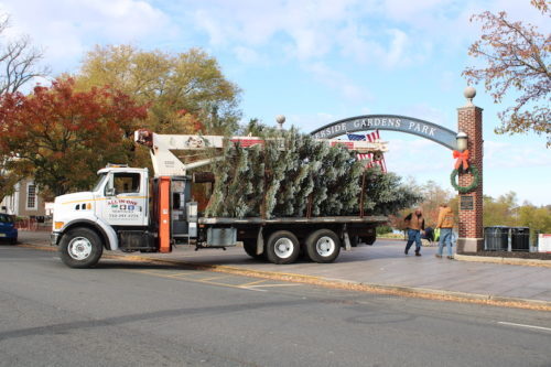 red-bank-holiday-christmas-tree-112121-1-500x333-3469922