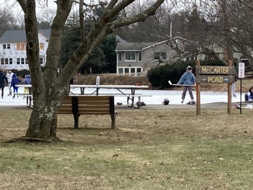 fair-have-mccarter-pond-011622-pileggi-500x375-3654044