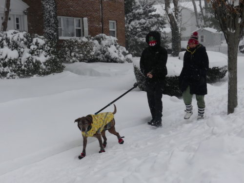 red-bank-snow-012922-2-500x375-5345185