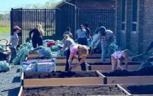 red-bank-primary-school-garden-220x139-8382940
