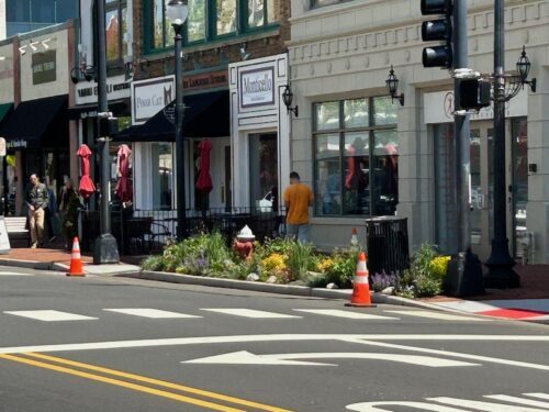 red-bank-broad-street-gardens-050523-4-500x375-8206271