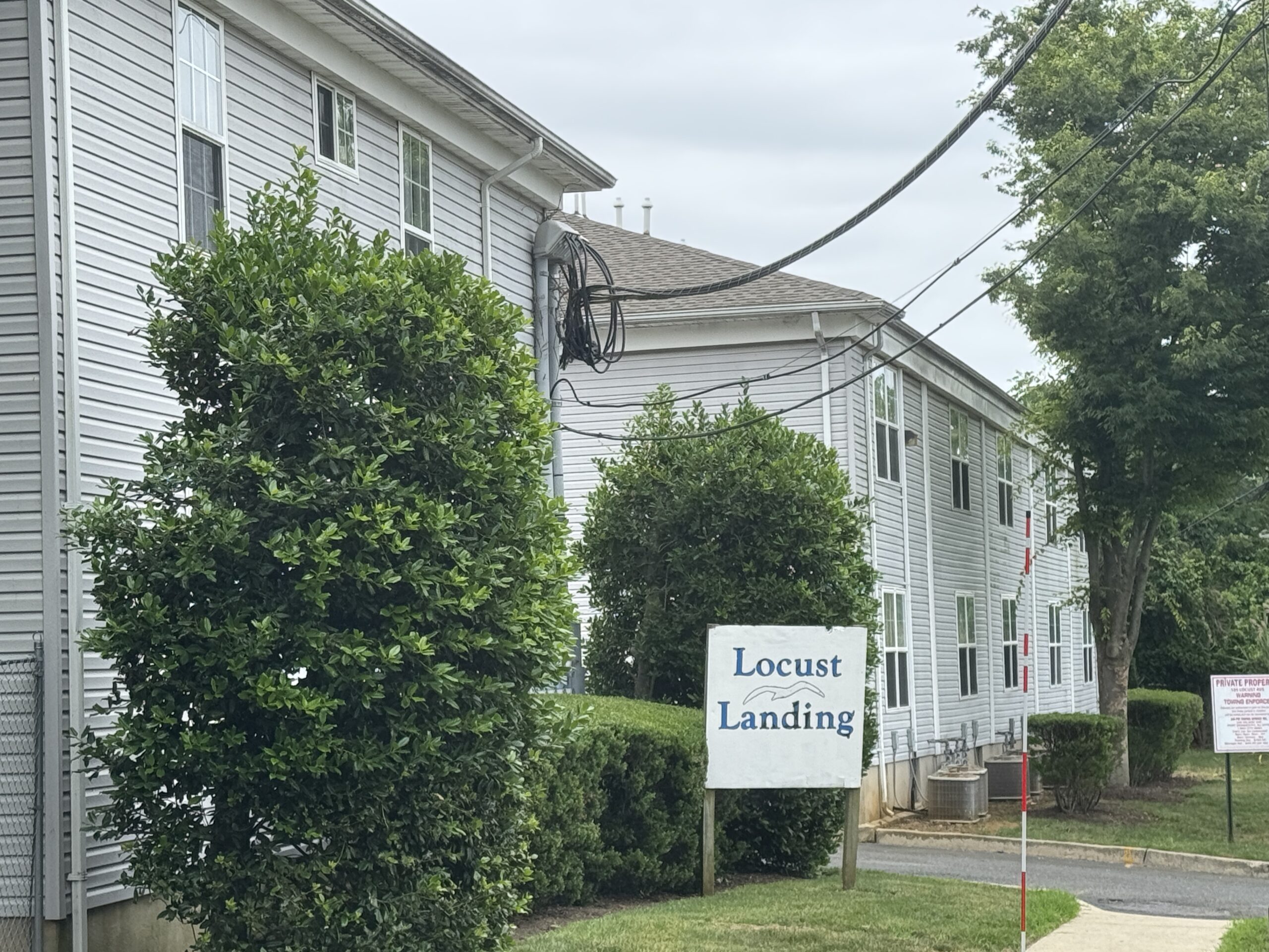 locust landing 062025