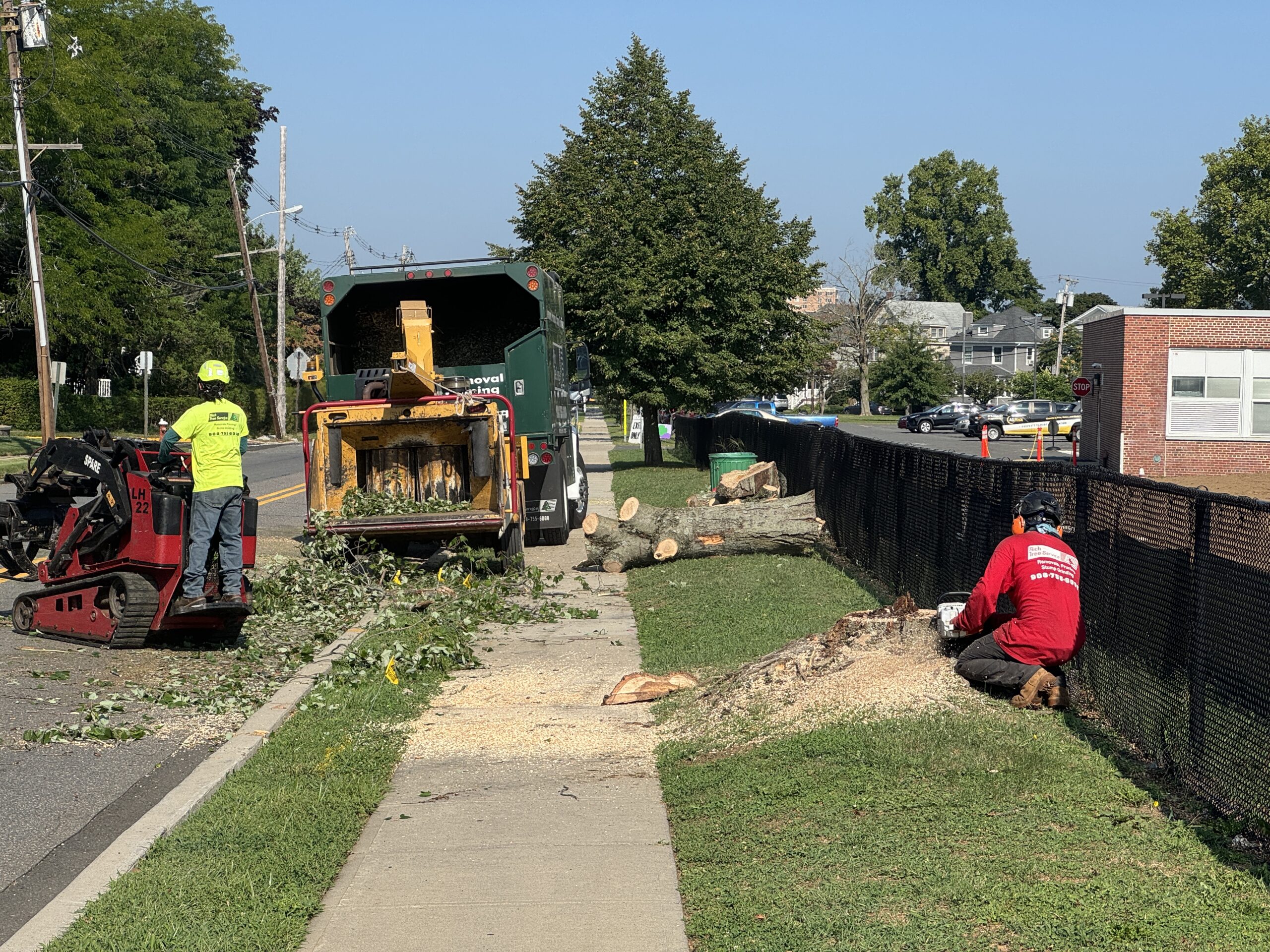 Red Bank Middle Schools tree removal 08272024