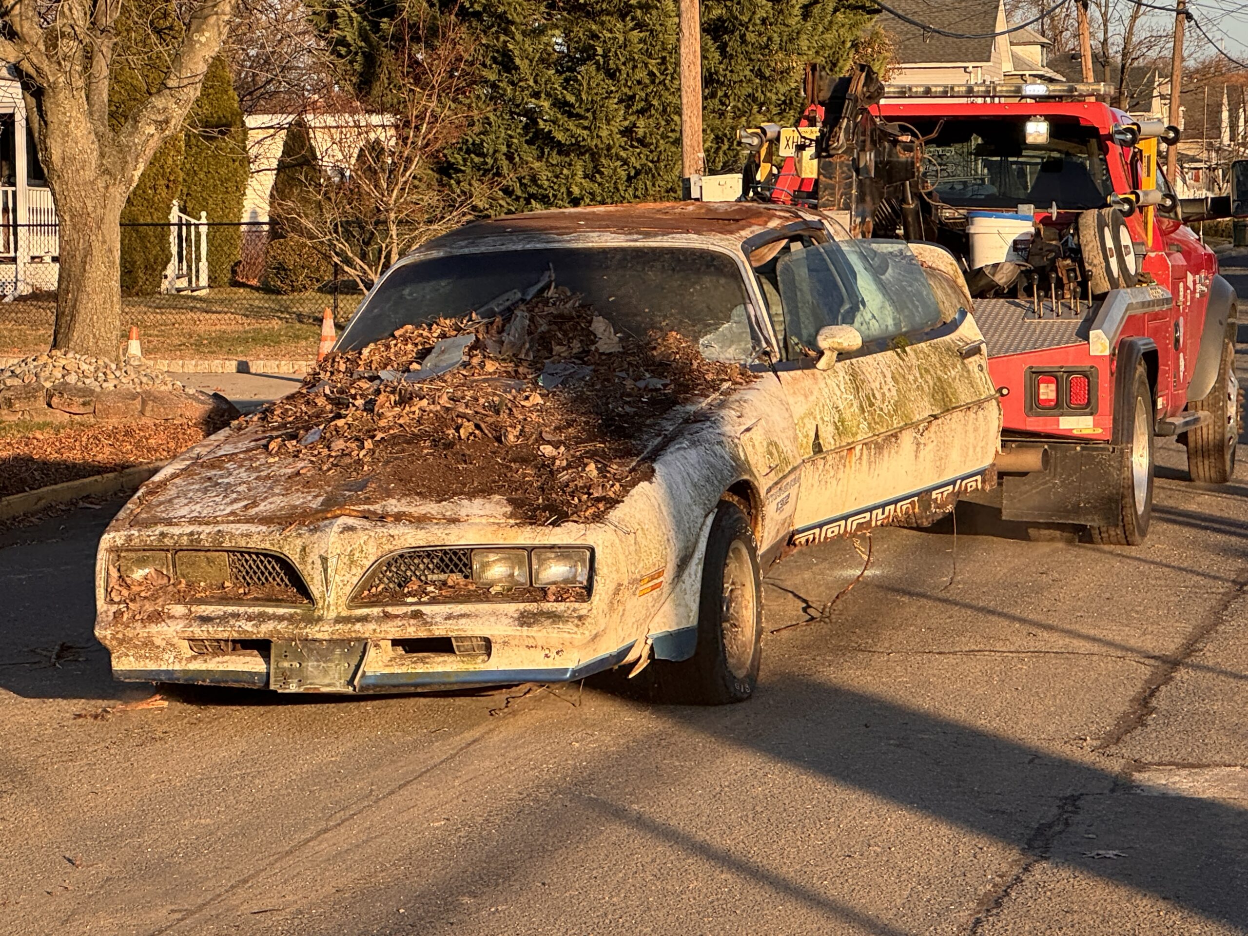 Macho Trans am 90 Bank Street Bill POku 12222025