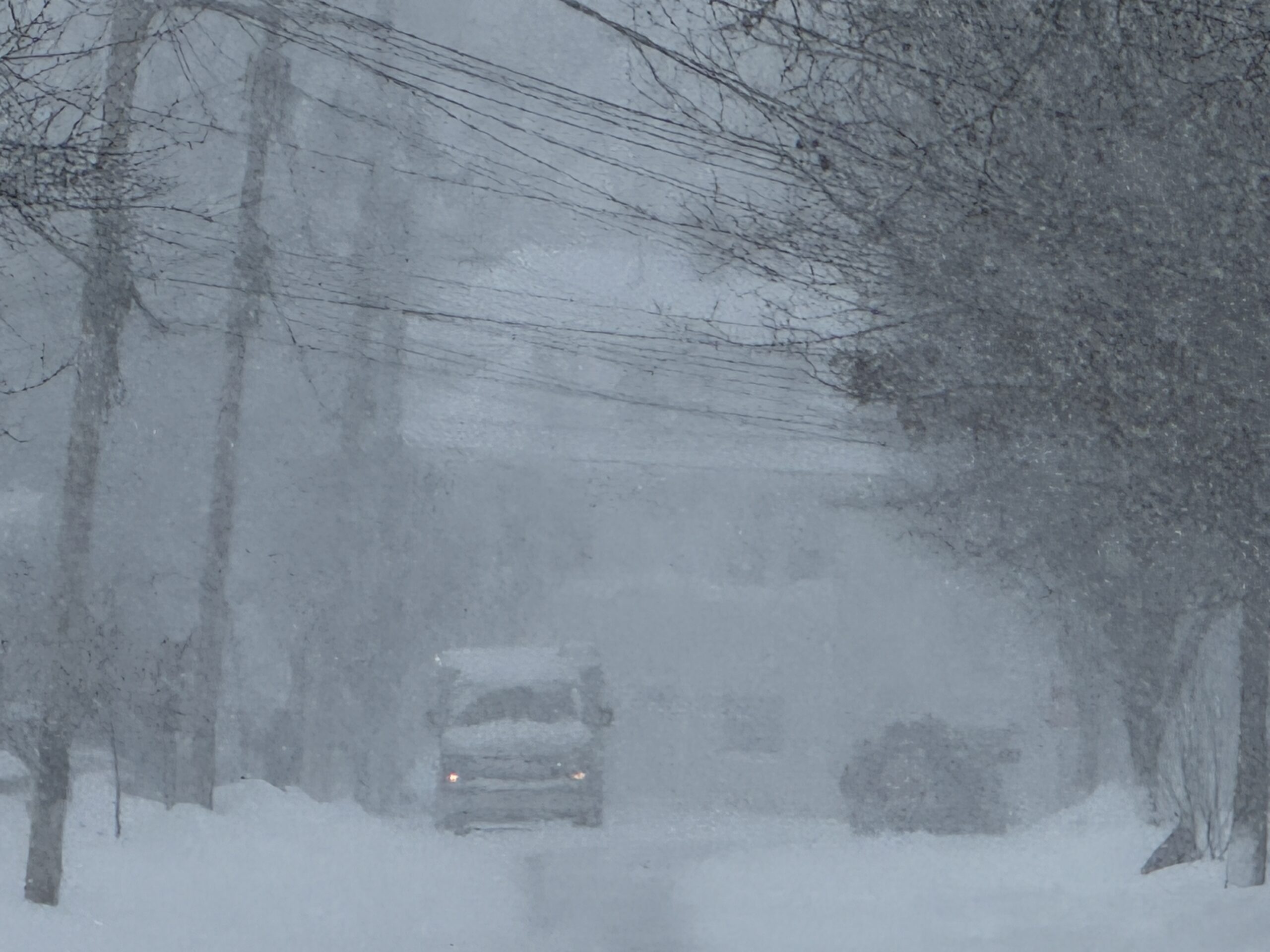 red bank snow 01252026