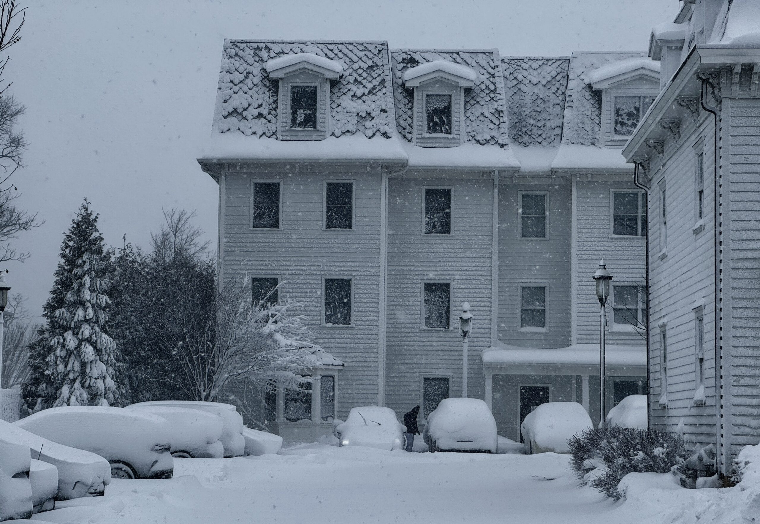 Blizzard of 202602232026 snow