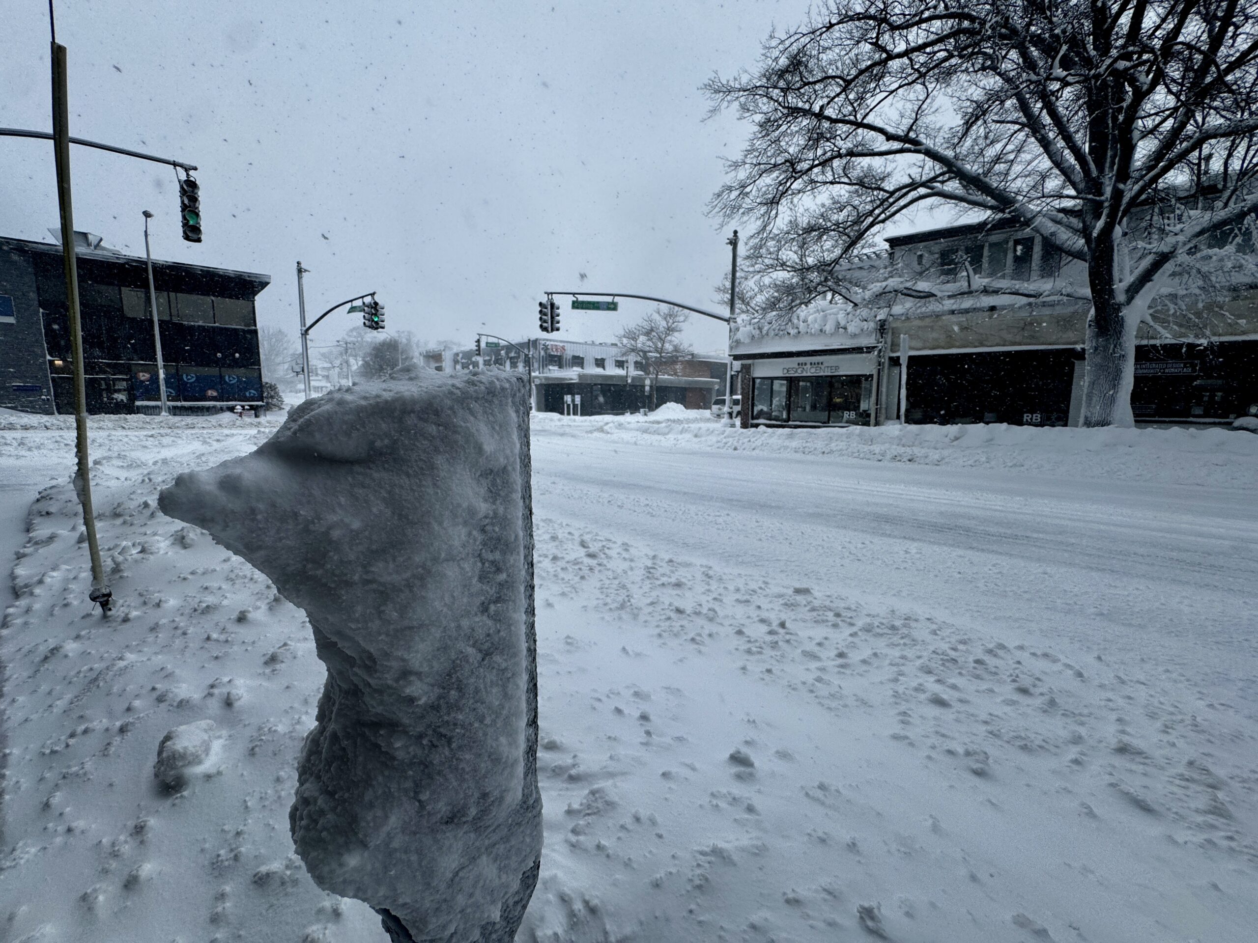 Blizzard of 202602232026 snow