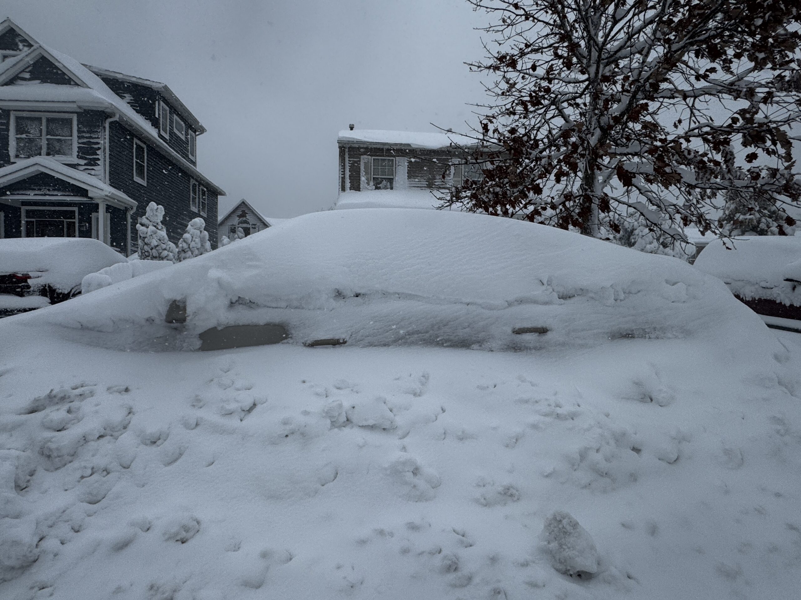 Blizzard of 202602232026 snow