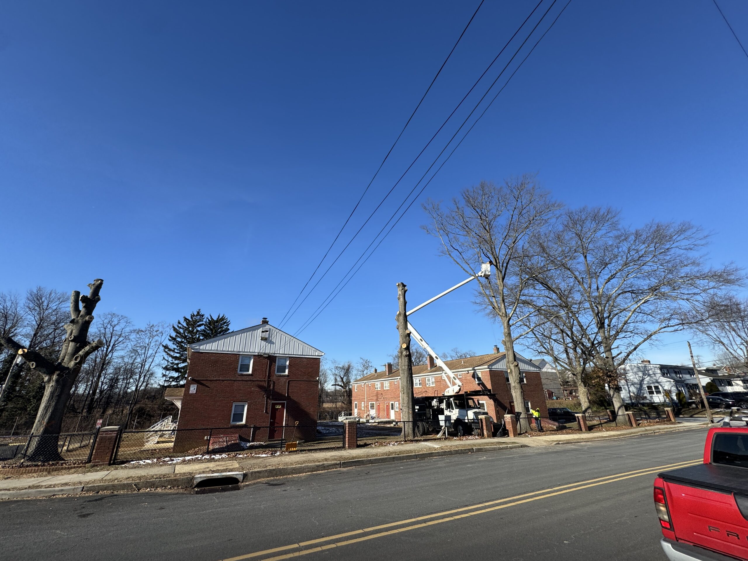 Trees removed at Red Bank Housing Authority Montgomery Terrace Dec. 2022 122024 TiltonAvenue