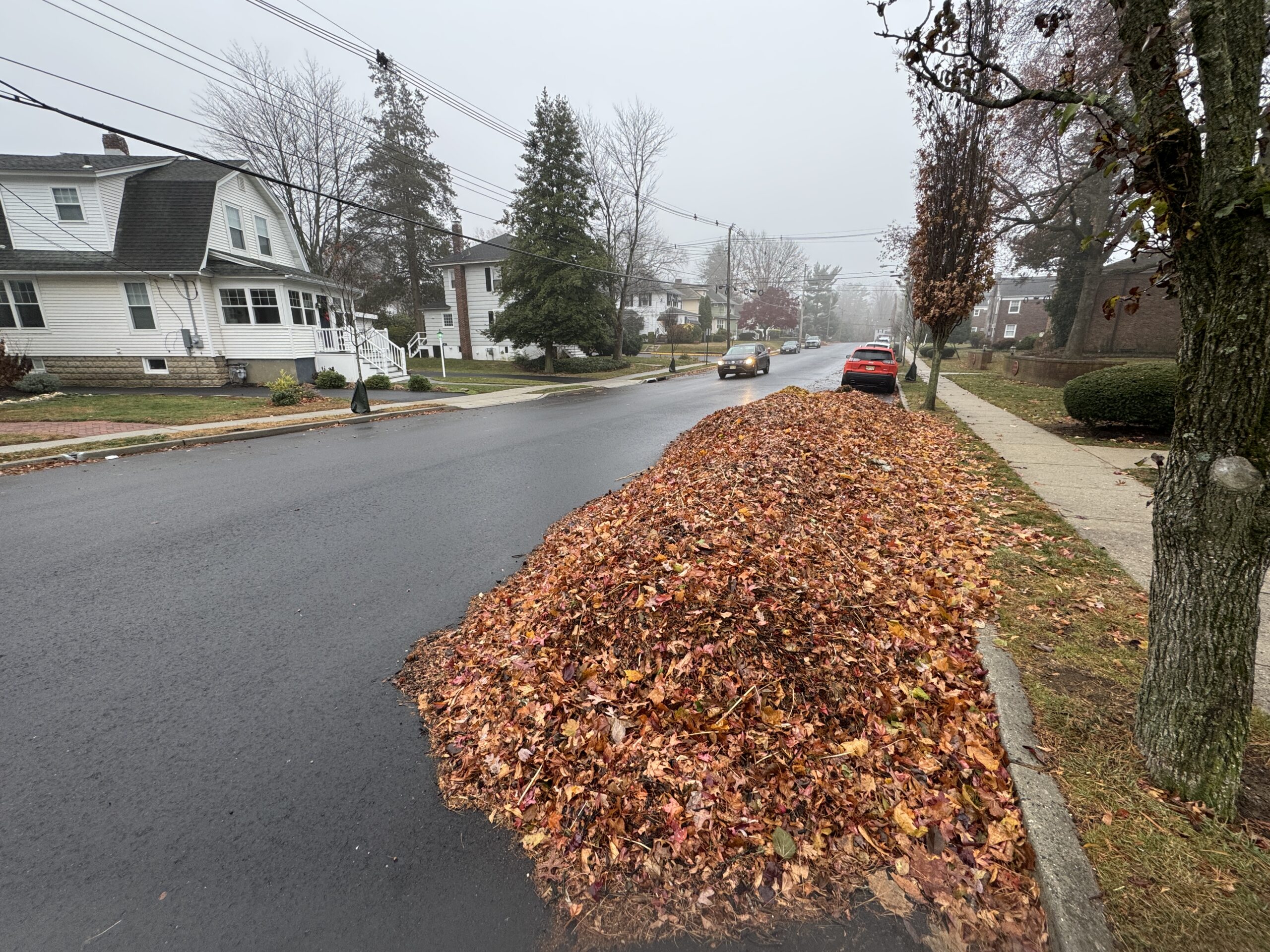leaves storm drains flooding South Street
