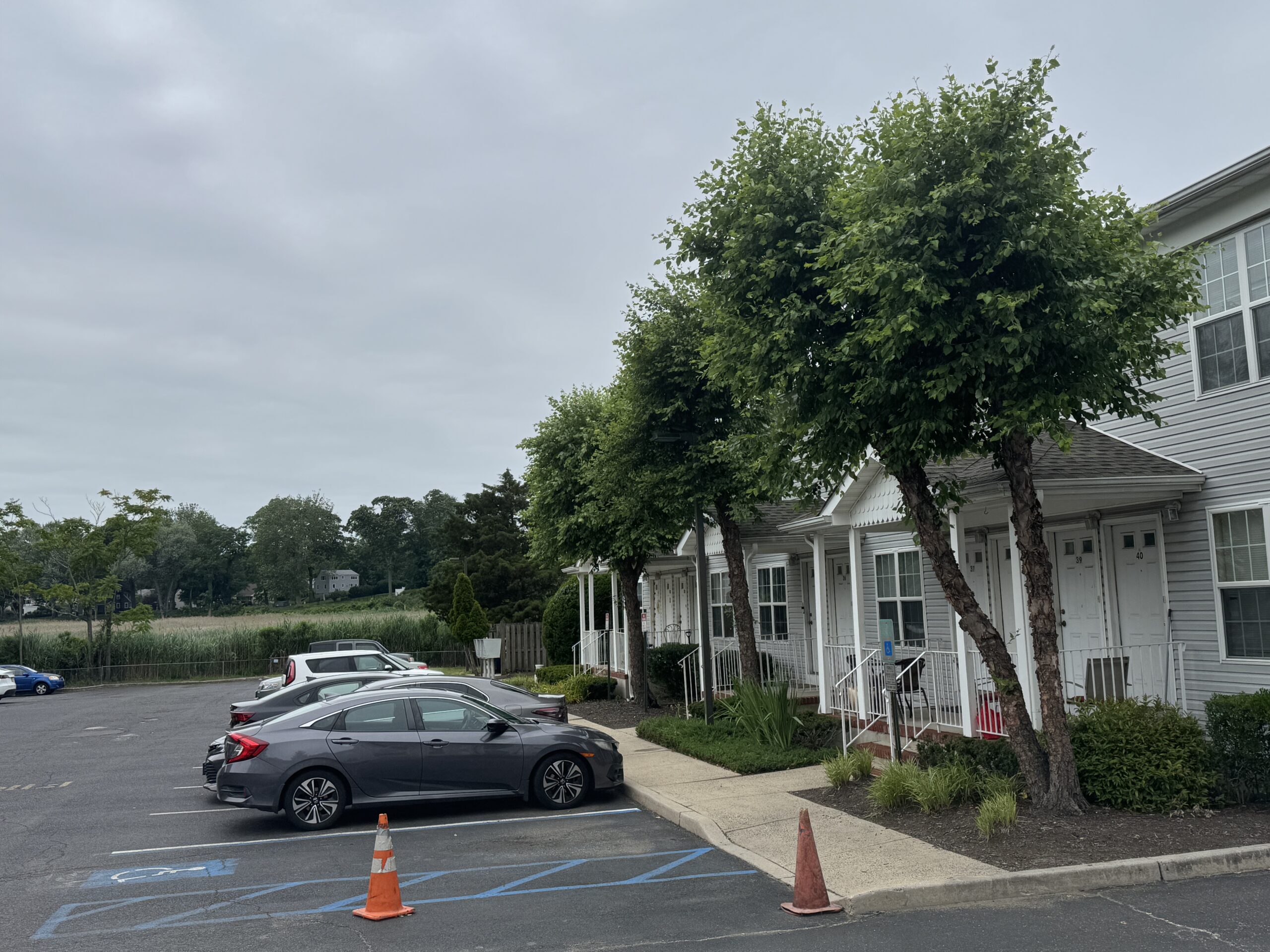 Locust Landing 062025