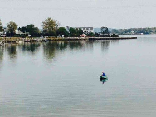fishing-101713-500x375-7102745