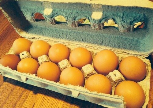 hauser_eggs-500x353-3134549