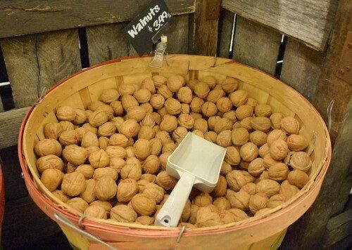 nuts-1-500x356-2363744