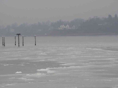 fh-navesink-ice-011014-500x375-4069937