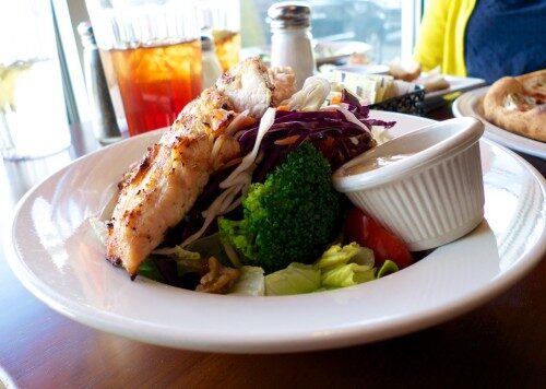 trattoria-1-500x356-9655068
