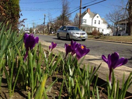 fh-spring-040114-500x375-8880953
