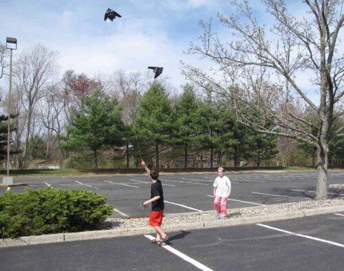 kiters-3-0414141-500x394-7351277