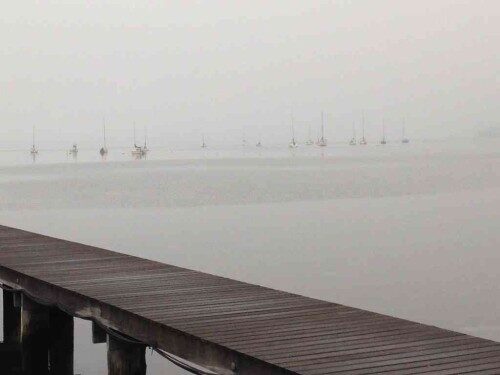 rb-fog-061014-500x375-2818598