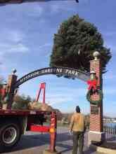 holiday-tree-112314-165x220-4180584