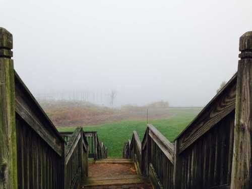 rb-fog-3-111214-500x375-7578045