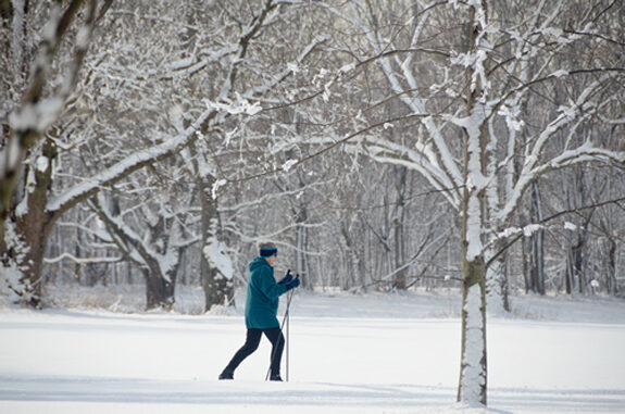 winterfest-7570469