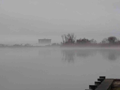 shrew-riv-fog-031415-500x375-8296583